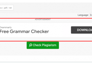 PrepostSEO.com – $4500/m – Banner before button (Desktop only)